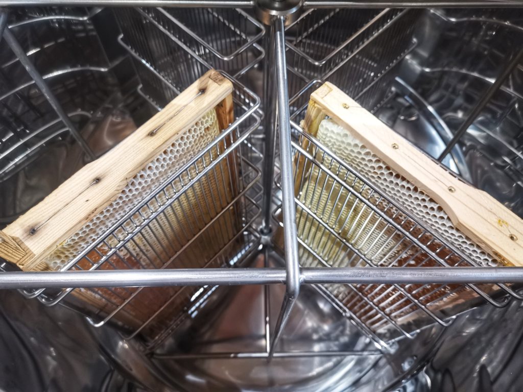 Frühlingsblüte 2020 – Saisonbeginn